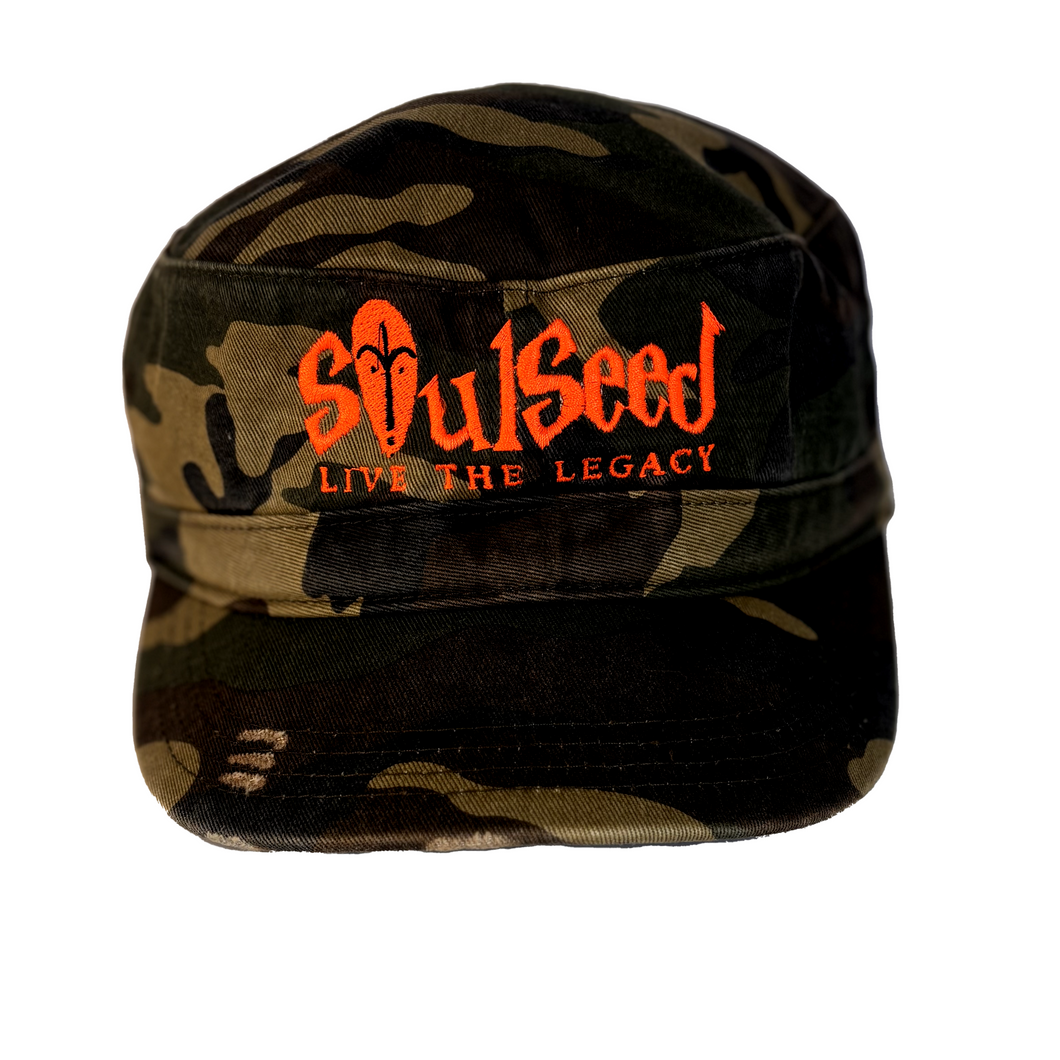 Embroidered Distressed Military Style Hat